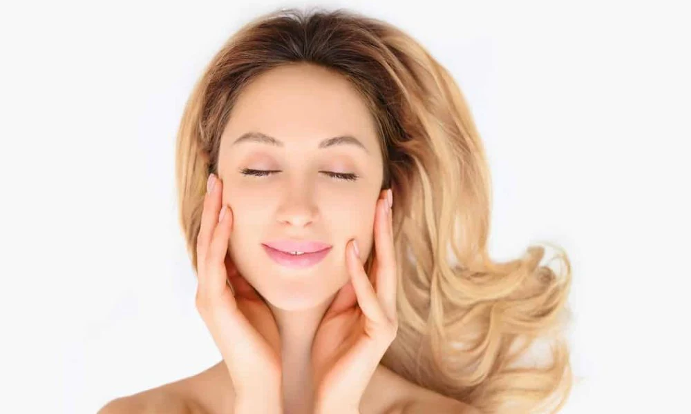 article_14077_featured_1771586015-1